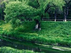 -黛秀湖公园