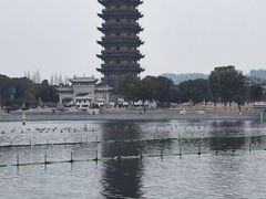 -葛仙湖公园