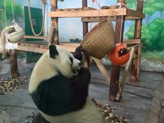 -无锡动物园·太湖欢乐园