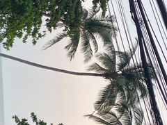 -乔木提恩海滩