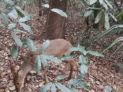 -西安秦岭野生动物园