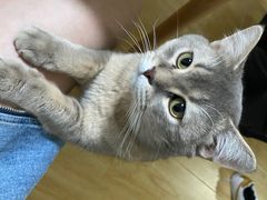 -鹤所·低糖零蔗糖烘焙(长楹店)