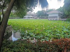 -荔湾湖公园