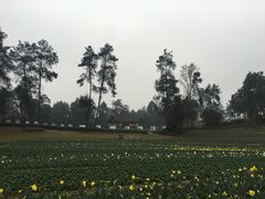 -保利石象湖景区