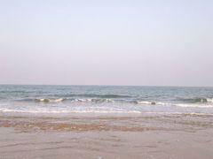 -日照海滨国家森林公园