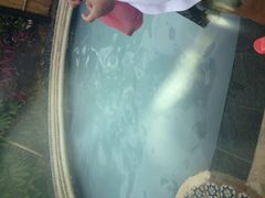 -颐和澜悦欢乐水世界(原颐和温泉城)