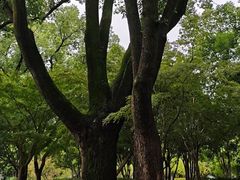 -汇龙潭