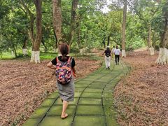 -张坝桂圆林公园