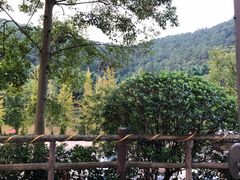 -楠柏弯休闲山庄(梨花溪店)