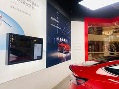 -TESLA 特斯拉(郑州正弘城体验店)