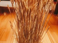 -西村日本料理(香格里拉饭店)