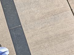 -洛阳周王城天子驾六博物馆