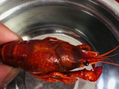 -京炭铜锅涮肉·羊蝎子·羊肉炉(保利·时光里店)