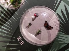 -武汉动物园