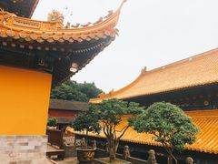 -普陀山风景名胜区-法雨禅寺