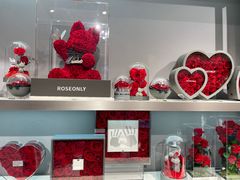 -ROSEONLY诺誓(广州K11店)