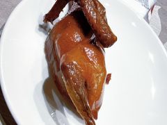 脆皮鸽子-锦绣金山人家(友谊店)