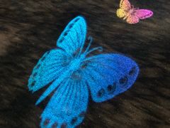 -锦江乐园舞狸花花游园会(夜场专享)
