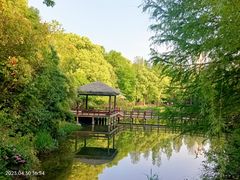 -上海滨江森林公园