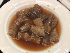 -新南华大酒店(广中店)