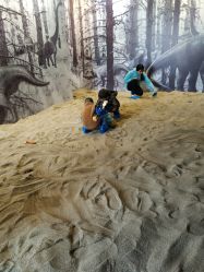 -恐龙探索乐园(磁器口店)