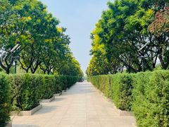 -中国人民抗日战争纪念雕塑园