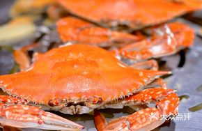 Open Sea Crab