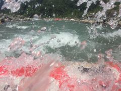 -虹口漂流