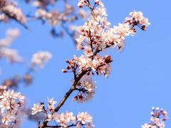 -上海滨江森林公园