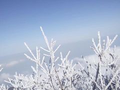 -峨眉山风景名胜区