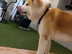 -YCHL Studios健身工作室(市二宫店)