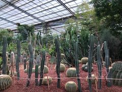 -呀路古热带植物园