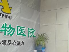 -半岛宠物医院24小时(白果林店)