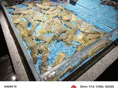 -徐记海鲜(大雁塔|金都店)