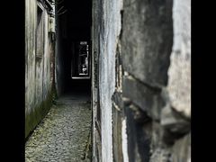 -黎里古镇
