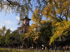 -四川大学(华西校区)