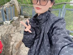 -紫金山山顶公园