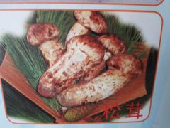 -绿色墨脱石锅城