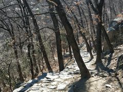 -阳台山自然风景区