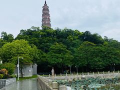 -顺峰山公园