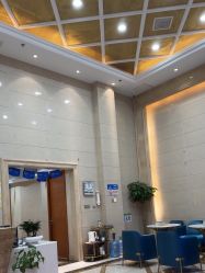 -碧莲盛·不剃发植发