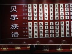 -青岛贝壳博物馆