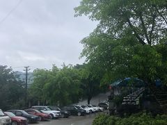 -老幺泉水鸡