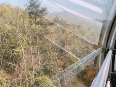 -紫金山天文台