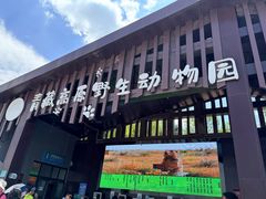 -青藏高原野生动物园