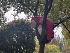 -歌斐颂巧克力小镇