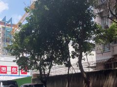 -上池面馆(上池正街39号院店)