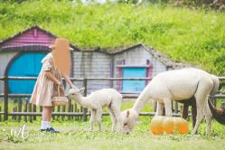 -西瓜庄园儿童摄影