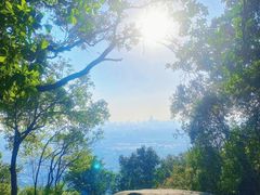 -火炉山森林公园