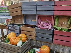 -华谊兄弟（长沙）电影小镇